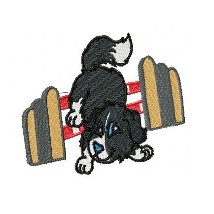 Agility Border Collie 2 - Click Image to Close