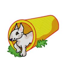 Agility Bull Terrier 1 - Click Image to Close