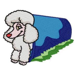 Agility Poodle - Click Image to Close