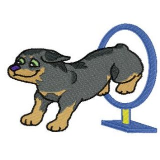 Agility Rottweiller - Click Image to Close