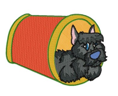 Agility Scottish Terrier - Click Image to Close