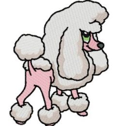 Toy Poodle - Click Image to Close